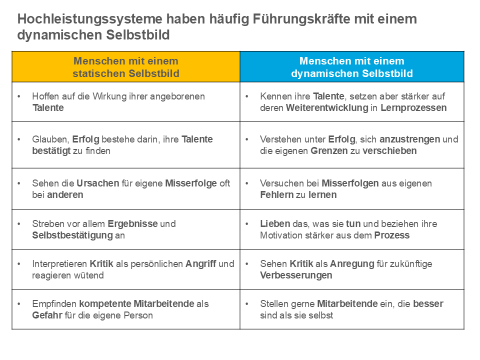 Dynamisches Selbstbild Lernprozess Innovationsstrategie